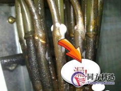 制冷劑泄漏有哪些檢測方法？